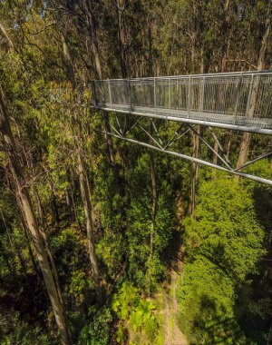 Avustralya'da parkın inanılmaz görünümü