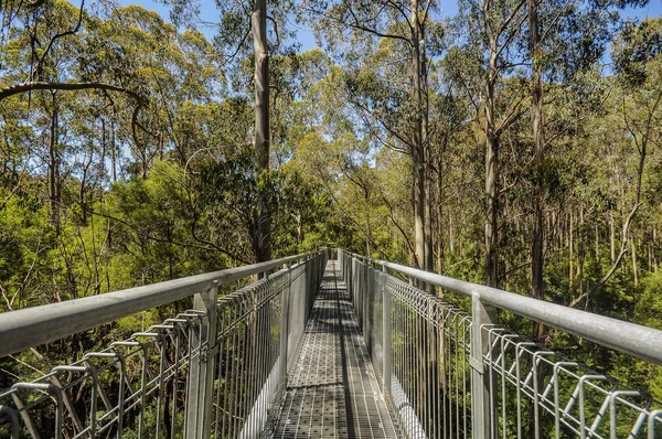 Increíble Vista Del Parque Australia — Foto de Stock