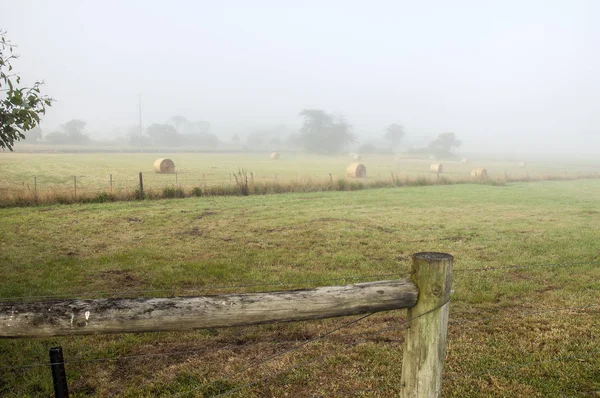 Foggy dawn in Warrnambool, Australia.  Beautiful morning light.