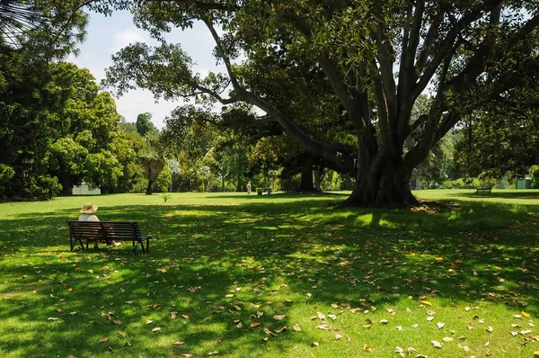 Aseo Belleza Los Parques Melbourne —  Fotos de Stock