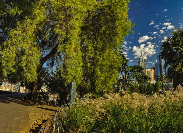 Parker Och Trädgårdar Melbourne Australien — Stockfoto