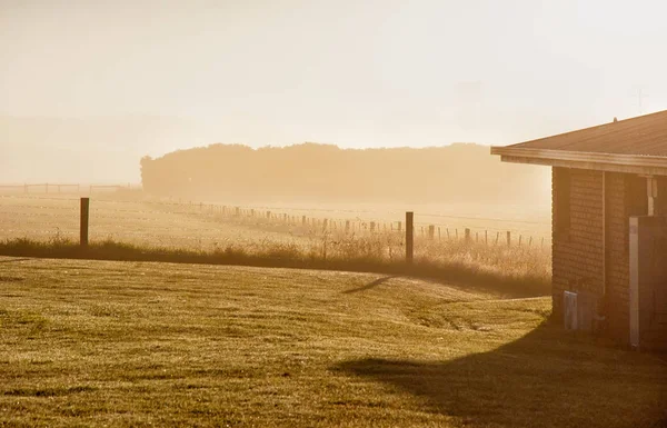 Early summer morning in the countryside of Australia with the fog.