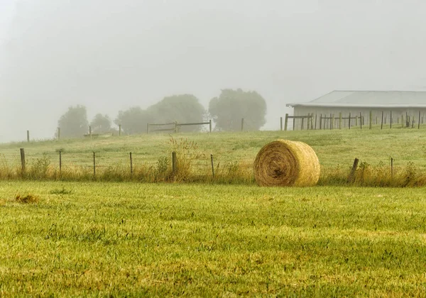 Foggy Daggry Warrnambool Australia Vakkert Morgenlys – stockfoto