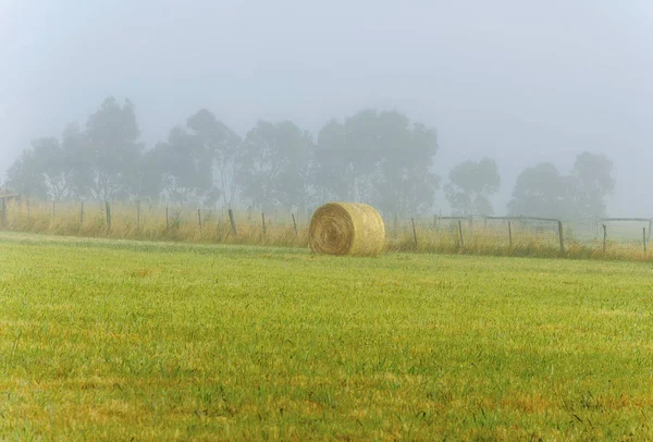 Foggy Daggry Warrnambool Australia Vakkert Morgenlys – stockfoto