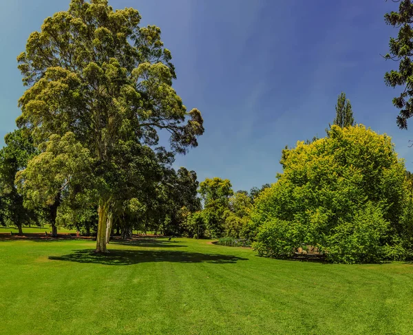 Park Melbourne Australien — Stockfoto