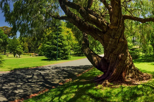 Parque Melbourne Países Bajos — Foto de Stock