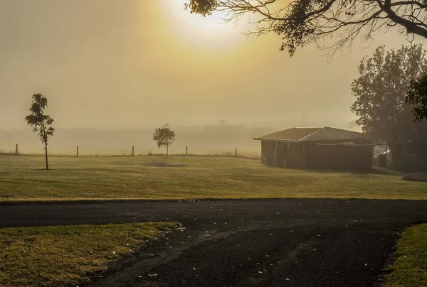 Den Sydvästra Kusten Victoria Warrnambool Australiska Stillahavskusten — Stockfoto