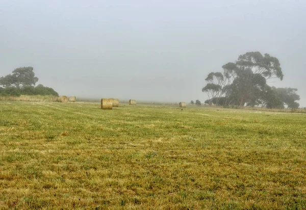 Mglisty Świt Warrnambool Australia Piękne Światło Rano — Zdjęcie stockowe