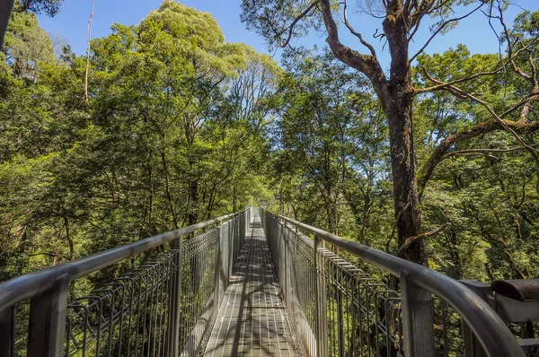 Increíble Vista Del Parque Australia — Foto de Stock