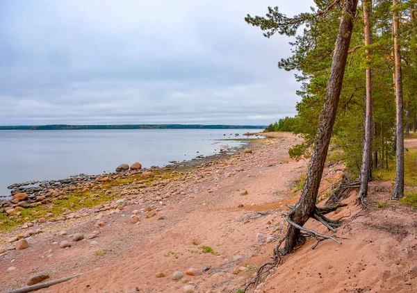 Rive Golfe Finlande Par Une Journée Automne Nuageuse Rochers Sur — Photo