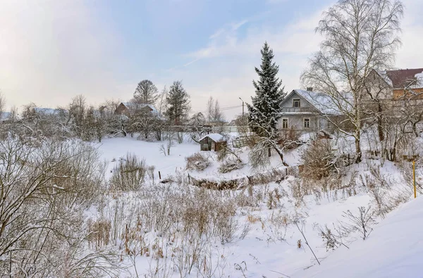 Морозний Зимовий День Передмісті Санкт Петербурга Сніжне Місяць Січня — стокове фото