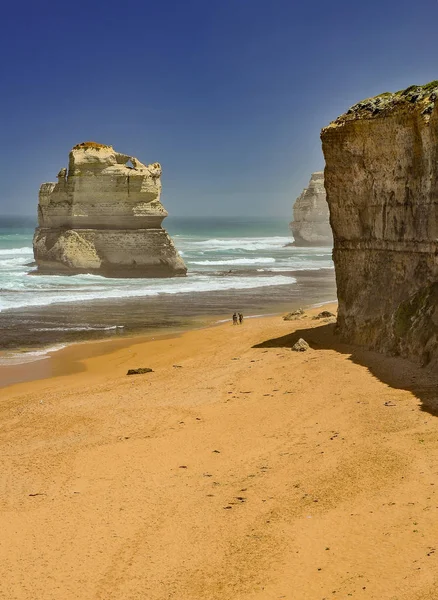 Beach of the Pacific ocean