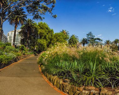 Melbourne Parkları ve Bahçeleri. Avusturalya