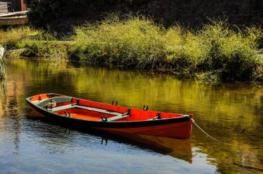 Turuncu bir teknede Duck.