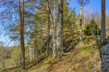 Karelia Cumhuriyeti'ne hafta sonu gezisi. Kuzey bölgelerinin güzelliği. 