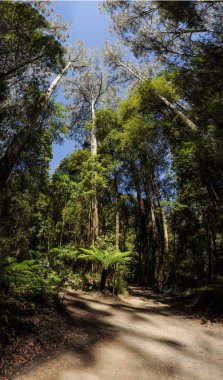 Avustralya'da parkın inanılmaz görünümü
