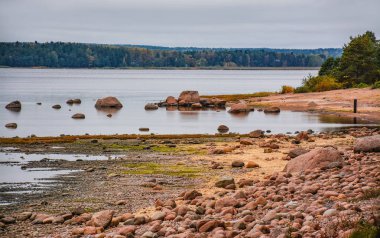 Bulutlu bir sonbahar gününde Finlandiya Körfezi kıyısı. Körfezdeki Kayalar.