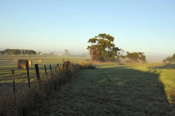 Misty morning in the countryside of Australia