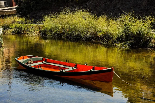 Turuncu bir teknede Duck.