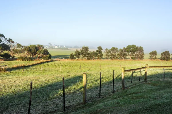 Foggy morning in the countryside of Australia.