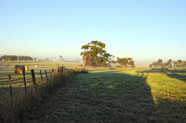 Ködös Reggel Vidéken Ausztrália — Stock Fotó