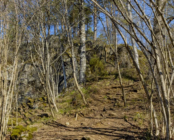 Viaje Fin Semana República Karelia Belleza Las Regiones Del Norte — Foto de Stock