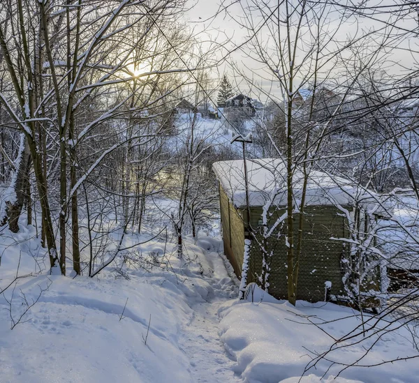 サンクトペテルブルクの郊外で冷ややかな冬の日 1月の雪 — ストック写真