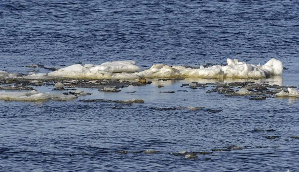 春にネバに浮かぶ氷の流れ ロシア サンクトペテルブルク — ストック写真