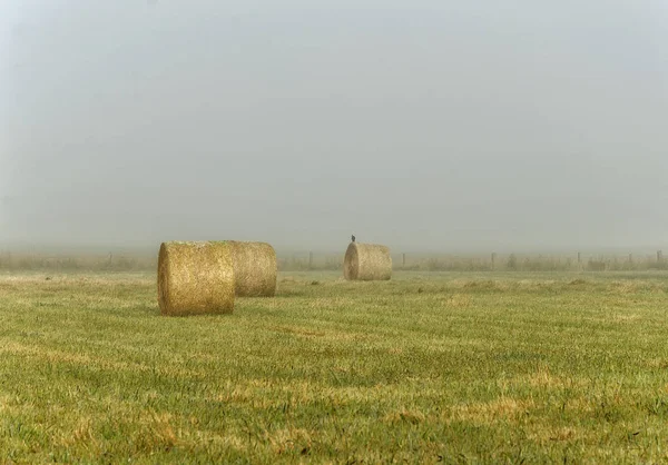 Foggy Dawn Warrnambool Australië Mooie Ochtend Licht — Stockfoto