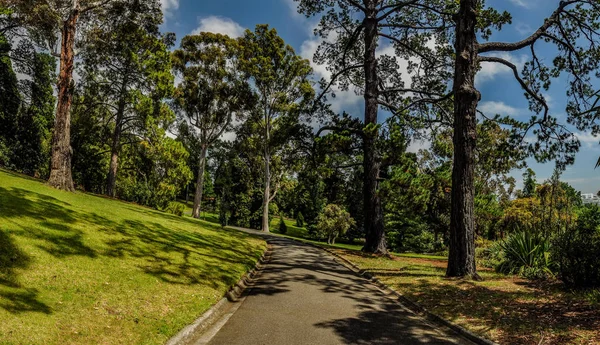 Parcs Jardins Melbourne Australie — Photo
