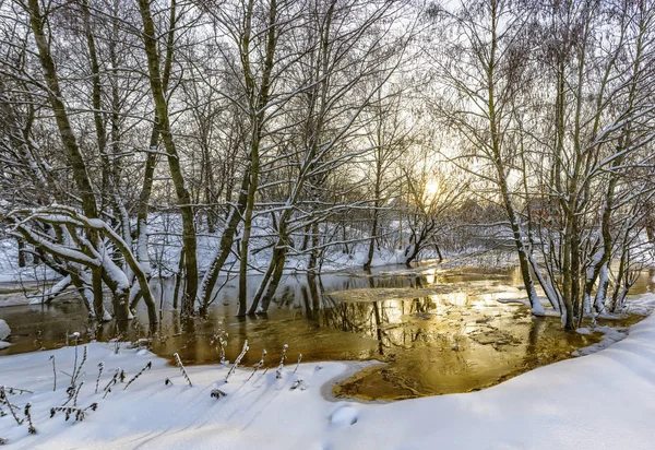 Frostiger Wintertag Der Vorstadt Von Petersburg Schneebedeckt Der Monat Januar — Stockfoto