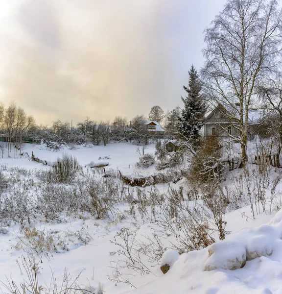 Dia Inverno Gelado Nos Subúrbios São Petersburgo Nevado Mês Janeiro — Fotografia de Stock