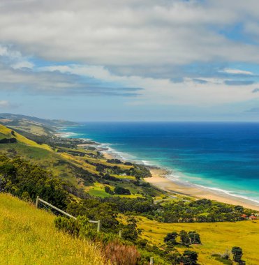 Pasifik Okyanusu'nun Güneşli kıyıları.