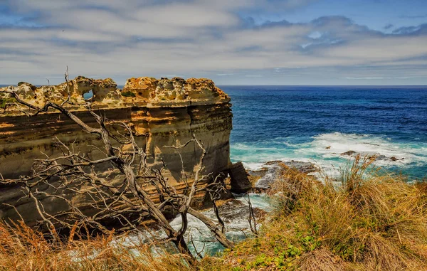 Viajando Pela Austrália Grande Estrada Oceânica Parque Nacional Campbell — Fotografia de Stock