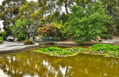 Park Wilson 'da yağmurlu bir gün. Park, Victoria, Avustralya 'daki Berwick' teki Princes Highway 'de yer almaktadır..