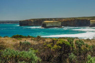 Avustralya'yı geziyor. Büyük okyanus yolu. Ulusal Park Campbell.