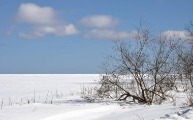 Kışın karla kaplı alan