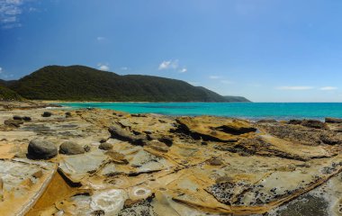 Pasifik Okyanusu'nun Güneşli kıyıları.
