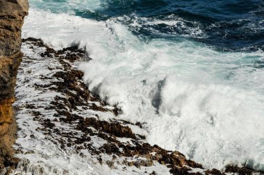 Pasifik Okyanusu'nun kayaları ve dalgaları.