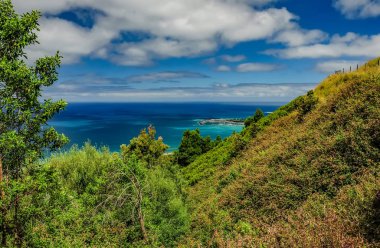 Apollo Körfezi'nde Avustralya Pasifik kıyısında bir favori sörf nokta. 