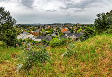 Park Wilson 'da yağmurlu bir gün. Park, Victoria, Avustralya 'daki Berwick' teki Princes Highway 'de yer almaktadır..