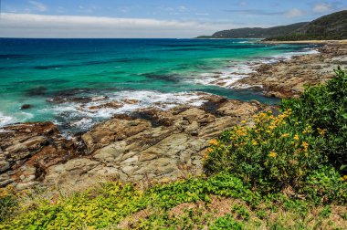 Güneşli bir günde Pasifik okyanusunun kıyısı.