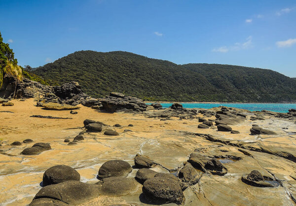 Берег Тихого океана в солнечный день
.