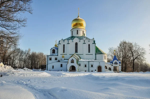 March Morning Pushkin Fyodorovsky Cathedral — Stock Photo, Image