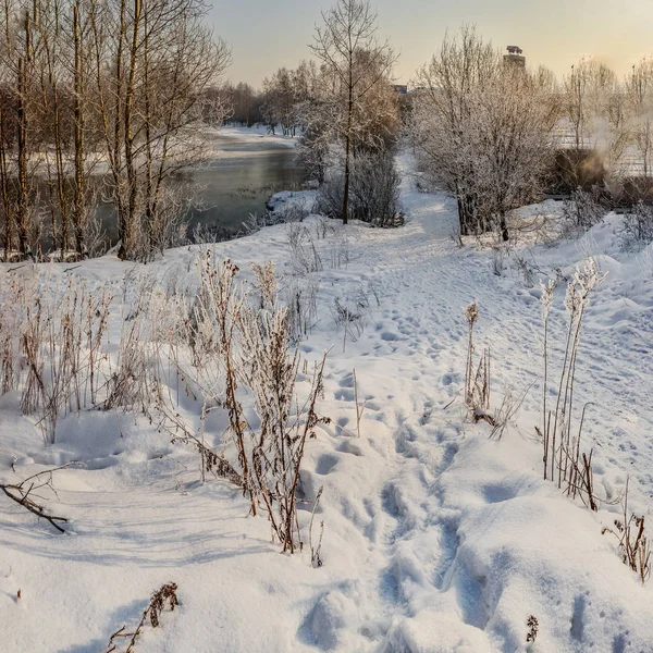 Día Soleado Invierno Orilla Del Río Slavyanka — Foto de Stock