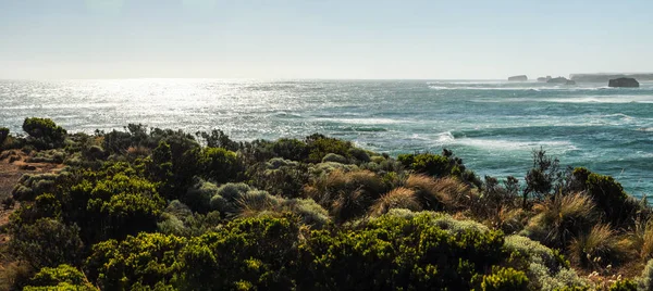 Pacific Ocean Windy Foggy Weather — Stock Photo, Image