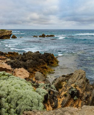 Pasifik Okyanusu 'nun Avustralya Sahili