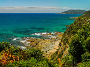 Pasifik Okyanusu'nun Güneşli kıyıları.
