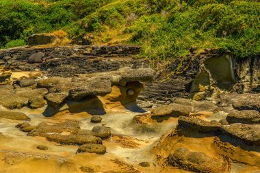 Pasifik Okyanusu 'nun Avustralya Sahili