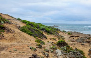 Akşam Pasifik Okyanusu'nun kıyısı.